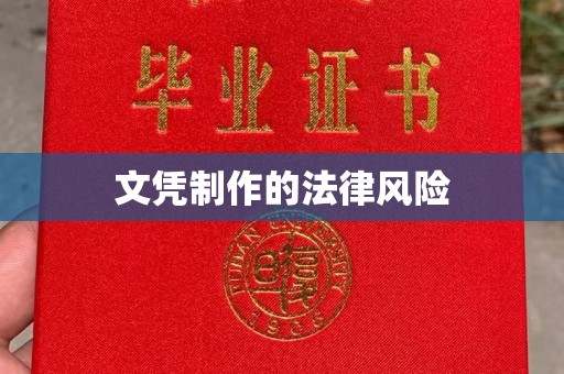 柳东文凭制作的法律风险