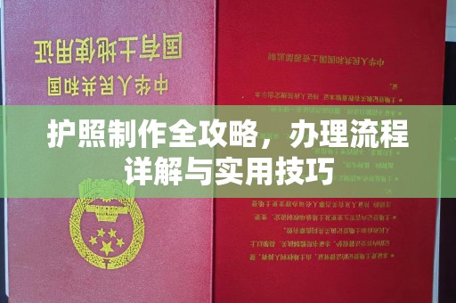 柳东护照制作全攻略，办理流程详解与实用技巧