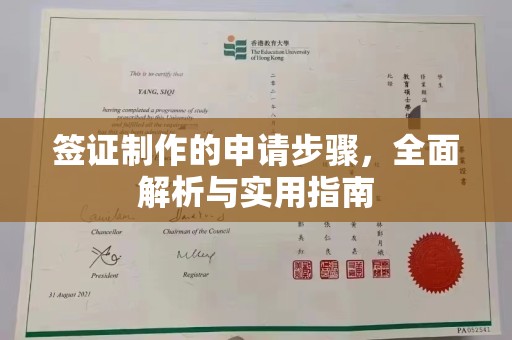 柳东签证制作的申请步骤，全面解析与实用指南
