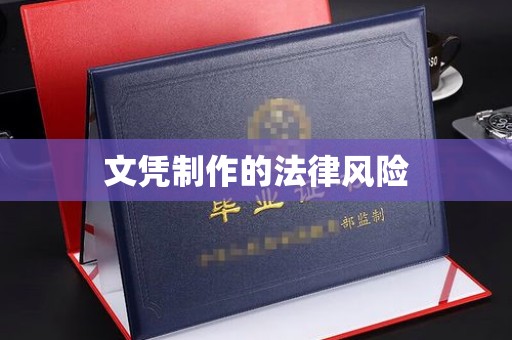 柳东文凭制作的法律风险