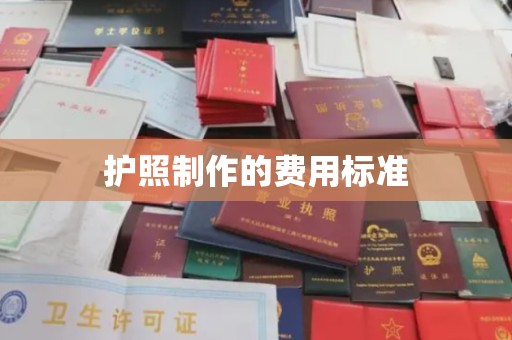 柳东护照制作的费用标准