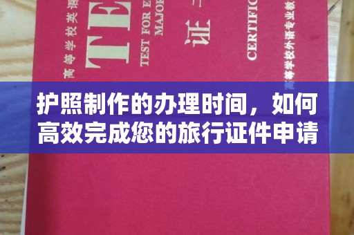 柳东护照制作的办理时间，如何高效完成您的旅行证件申请