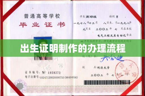 柳东出生证明制作的办理流程