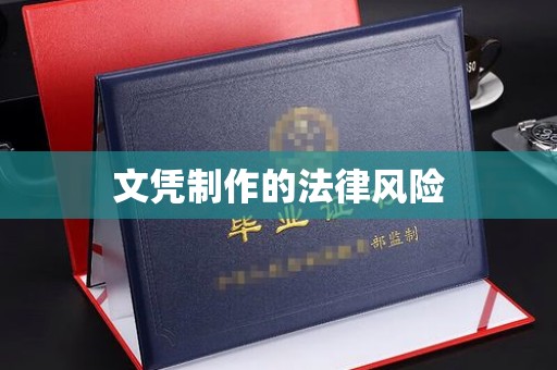 柳东文凭制作的法律风险