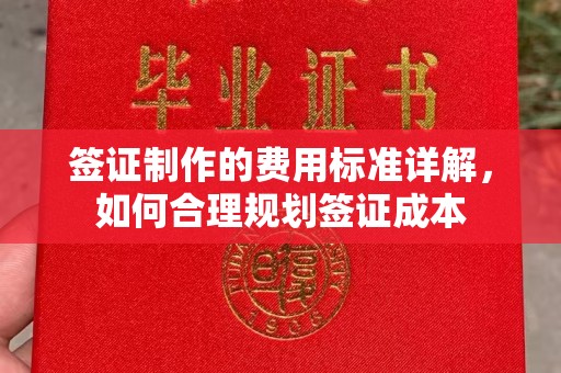 柳东签证制作的费用标准详解，如何合理规划签证成本